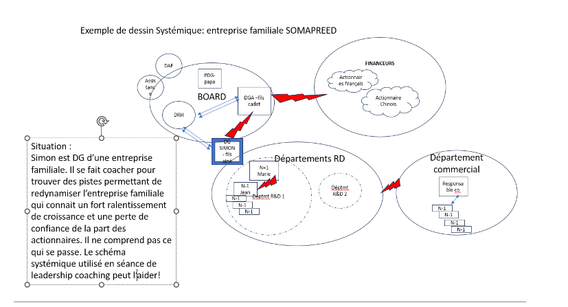 LE DESSIN SYSTEMIQUE : OUTIL PUISSANT POUR LES DIRIGEANTS