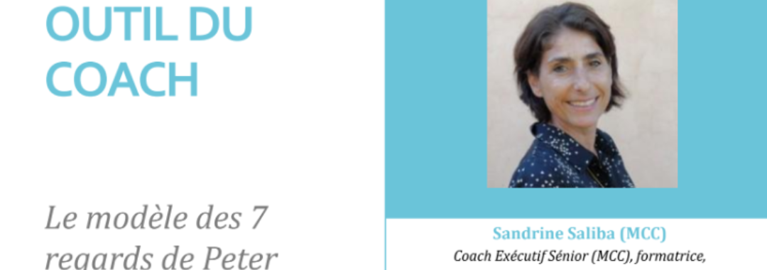 Les 7 regards de Peter Hawkins – Mon article publié dans COACHING Magazine est maintenant disponible !