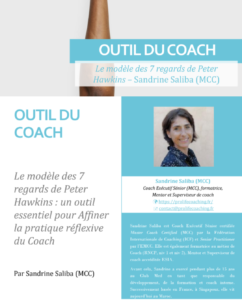 Les 7 regards de Peter Hawkins – Mon article publié dans COACHING Magazine est maintenant disponible !