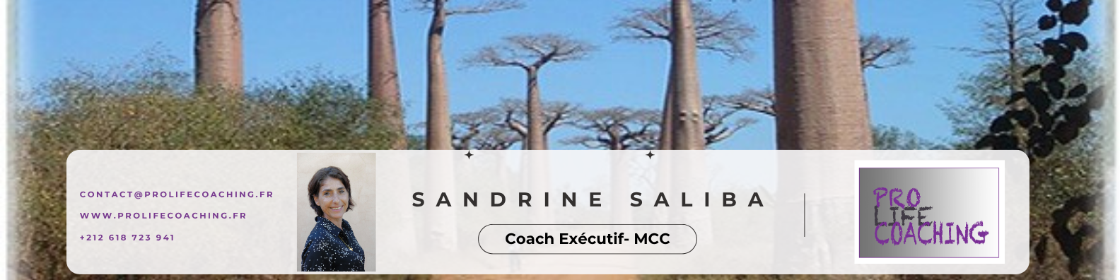 Leader pulse OCT 2025 la Newsletter des CEO et des CODIRS- Pour inspirer votre leadership en un éclair. Dossier spécial : Plaisir du jeu ou pression d’enjeu ? Comment fonctionnez-vous dans la tempête ?