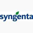 syngenta-fev-17